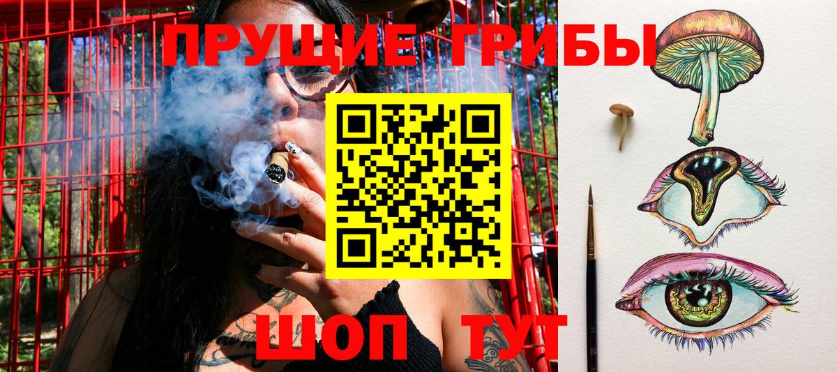 Псилоцибиновые грибы GOLDEN TEACHER  Псилоцибиновые грибы Magic Shrooms  Кропоткин  даркнет сайт  Вход с VPN 